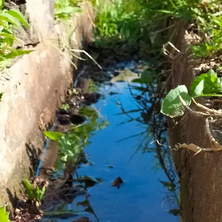 Casa Bela Vista * Машику