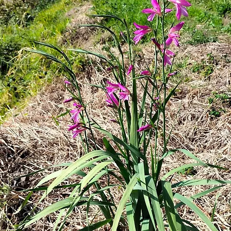 Casa Bela Vista Машику